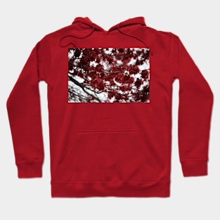 Crimson Foliage Hoodie